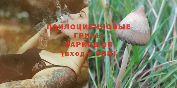 гидра Нефтегорск