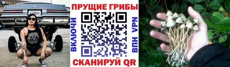Галлюциногенные грибы мухоморы  Пикалёво 